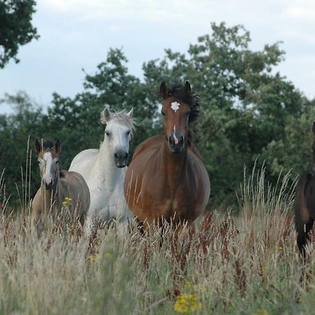 Petit Gite A La Ferme Villa Rosnay  Luaran gambar