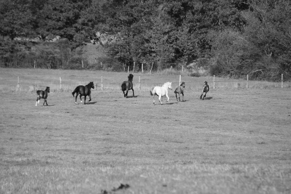 Petit Gite A La Ferme Villa Rosnay  Luaran gambar