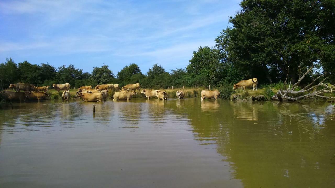 Petit Gite A La Ferme Villa Rosnay  Luaran gambar