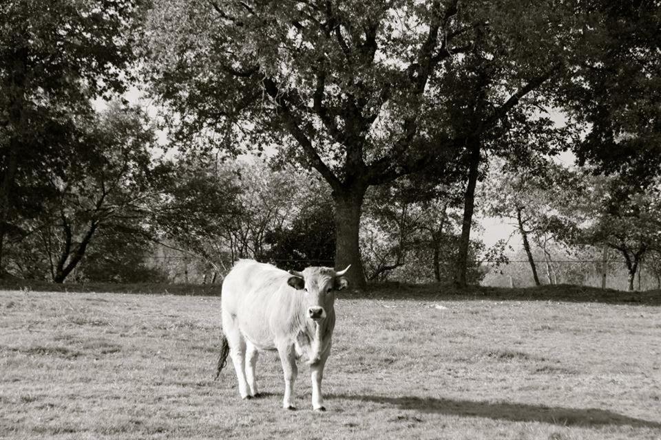 Petit Gite A La Ferme Villa Rosnay  Luaran gambar