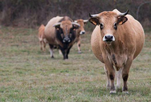 Petit Gite A La Ferme Villa Rosnay  Luaran gambar